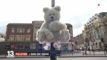 Toby, l'ours en peluche qui est sensible à la pollution - ZAPPING ACTU HEBDO DU 27/10/2018