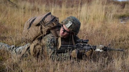 Nis në Norvegji stërvitja më e madhe e NATO - Top Channel Albania - News - Lajme