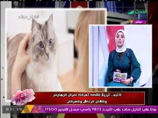 تحذير لمحبي الحيوانات الأليفة| "قطتك" قد تؤدى لإصابتك بـ"الشلل" و"الزهايمر"!!