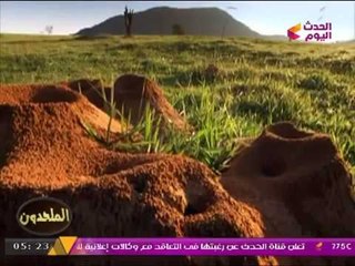 الملحدون مع د. عبد المنعم كحيل | نسف "نظرية التطور" بالدليل العلمي 18-9-2017