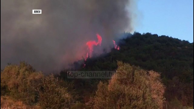 Pa Koment - Fier, kapen disa piromanë - Top Channel Albania - News - Lajme