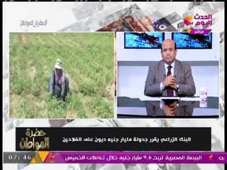 البنك الزراعي يصدر قرارا هاما يخص ديون الفلاحين... تعرف عليه