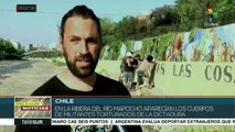 Chile: Festival de muralismo Puerta del Sur en ribera del río Mapocho