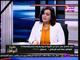 د. مني محرز نائب وزير الزراعة تحذر عالهواء أصحاب مزارع الدواجن غير المرخصة