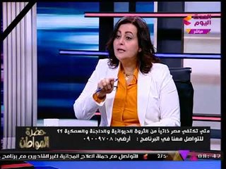 د. مني محرز نائب وزير الزراعة تقدم إرشادات التأكد من سلامة وجودة "الأسماك"