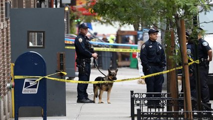 Colis suspects: la police fédérale américaine a arrêté une personne