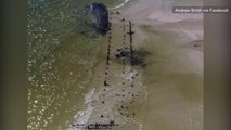 Destructive path of Hurricane Michael unearths 19th-century shipwreck