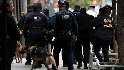 "Почтовый террорист" задержан