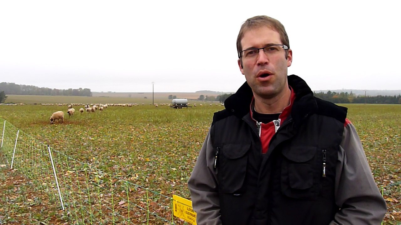 Guillaume Millot, éleveur ovin à Rollainville (88) : " Le matin, c'est toujours la surprise, on ne sait pas si on va retrouver des cadavres ou des blessés"
