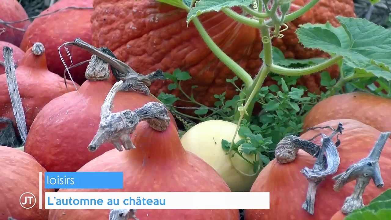 L'automne au château  - 26/10/2018