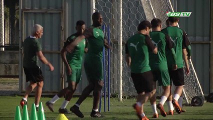 Timsah Çalışmalara Başladı