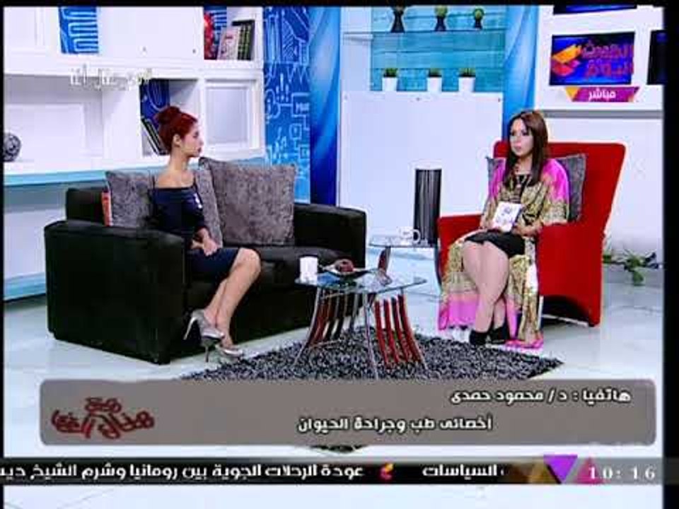أخصائي طب وجراحة الحيوان ينتقد تسميم الكلاب الضالة للتخلص منها: "قتل بالتعذيب"