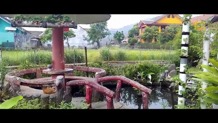 Menakjubkan - Cara semai biji tanaman