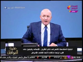 إقبال تاريخي على الرحلات لـ"كفر الشيخ" للحصول على لبن "البقرة المقدسة"!!!