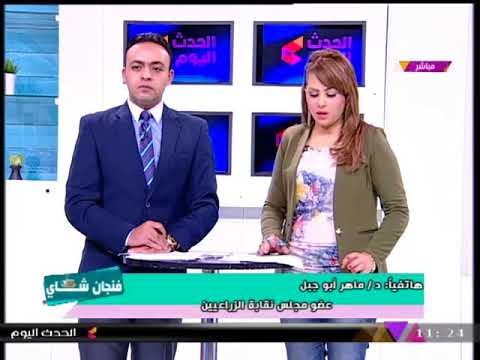 نقابة الزراعيين تُعلن بدء استغلال مياة الامطار بالاسكندريه لإستصلاح اراضي الحمام