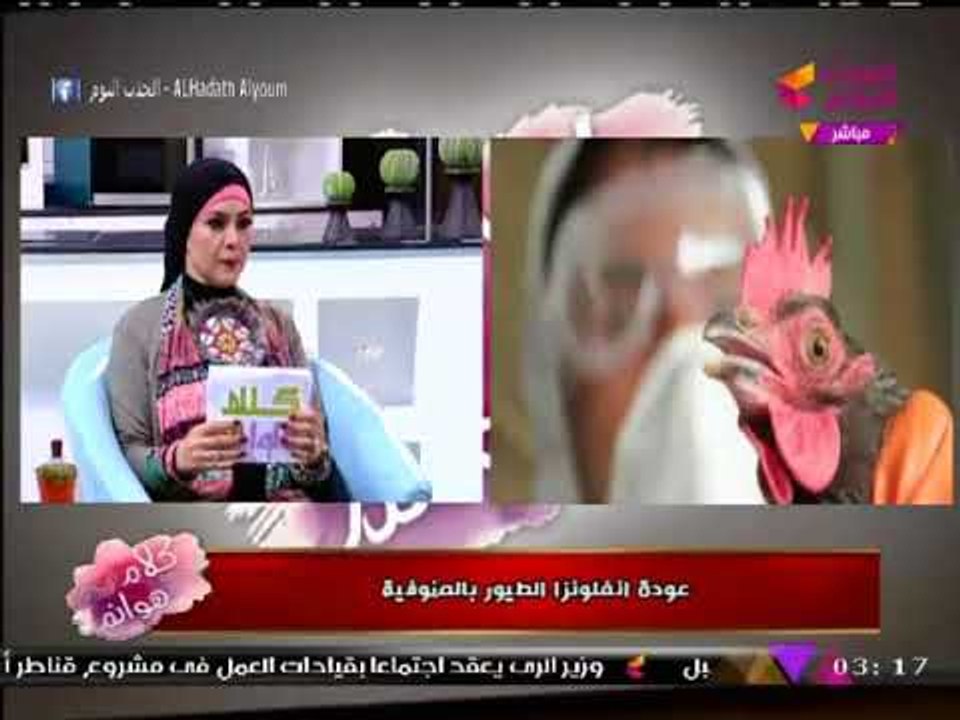 مذيعة الحدث تحذر من تناول الفراخ لهذه الأسباب..