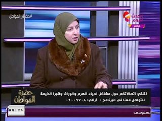 رئيس حي شرق "شبرا الخيمة": "البلطجة" فرضت نفسها بعد "25 يناير"