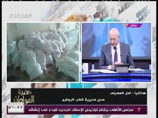 عضو نقابة البيطريين تفجر كارثة: القانون مطاط ولا يحمي صحة الشعب المصري