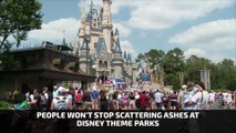 People Won't Stop Scattering Ashes at Disney Theme Parks