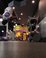 Guy Nearly Smashes Phone After Performing Backflip