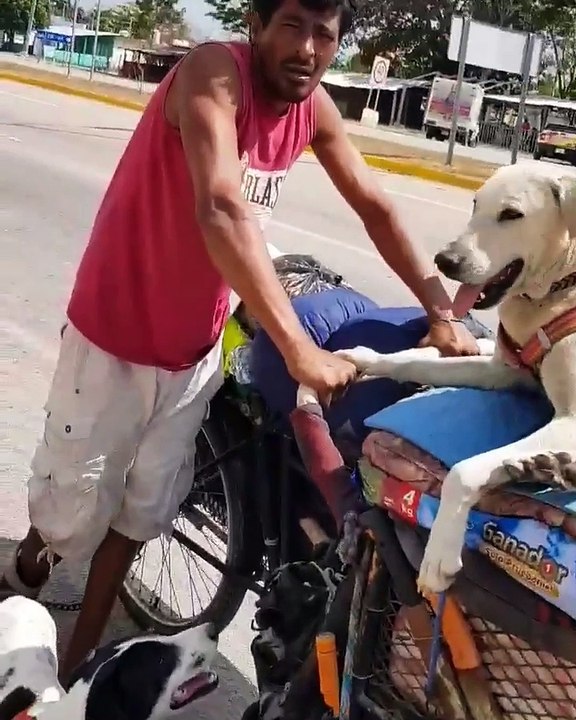 Nunca Juzgar Antes de Tiempo "Mexicano Increíble"