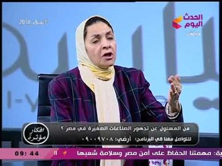 د. يمن الحماقي: إنتاجية العامل المصري منخفضة مقارنة بالدول الأخري