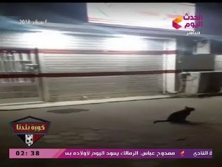عبد الناصر زيدان معلقا على صورة خزينة الزمالك: ورا الفأر فيه 200 مليون جنيه