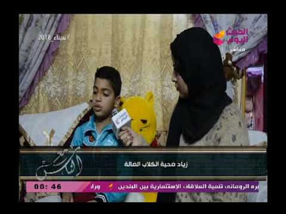 مع الناس يرصد ظاهرة انتشار الكلاب فى الشوارع وعقرها للاطفال والمواطنين