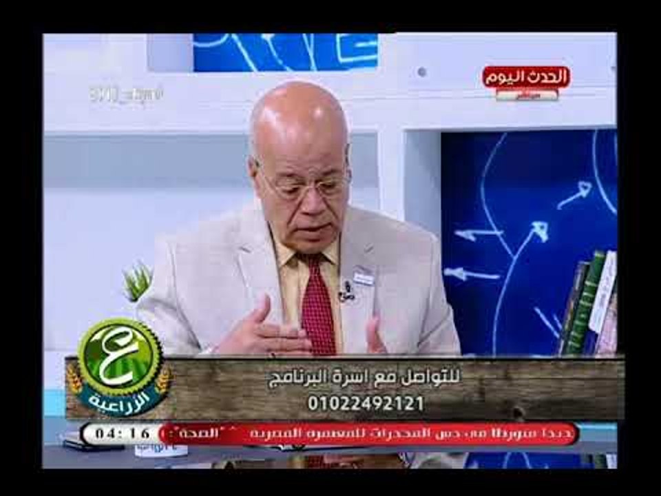 متحدث الزراعة يكشف أسباب انخفاض بيع سعر كيلو الموز للفلاح وليس لوزارة الزراعة علاقة