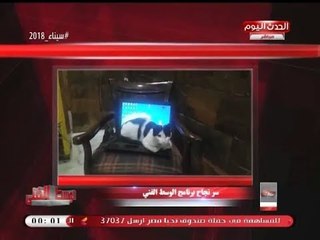 قطة تتسبب في تعطيل عمل إعداد برنامج #الوسط_الفني!!