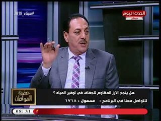 رئيس شعبة الأرز: "شنط رمضان" بتغلي سعر الأرز مرة ونصف