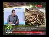 ع الزراعية مع احمد احسان وجيهان راجح| أثار هبوط الأمطار بكثافة علي المحاصيل الزراعية 27-4-2018