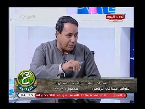 كبير مزارعي القليوبية يكشف مفارقات غريبة عن زراعة الأرز بالوجه القبلي والبحري وأنواع مرشدة للمياه