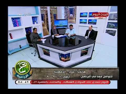 خطير| أحد مزارعي الدقهلية يكشف واقعة فساد خطيرة ببيع الجمعية الزراعية بميت غمر