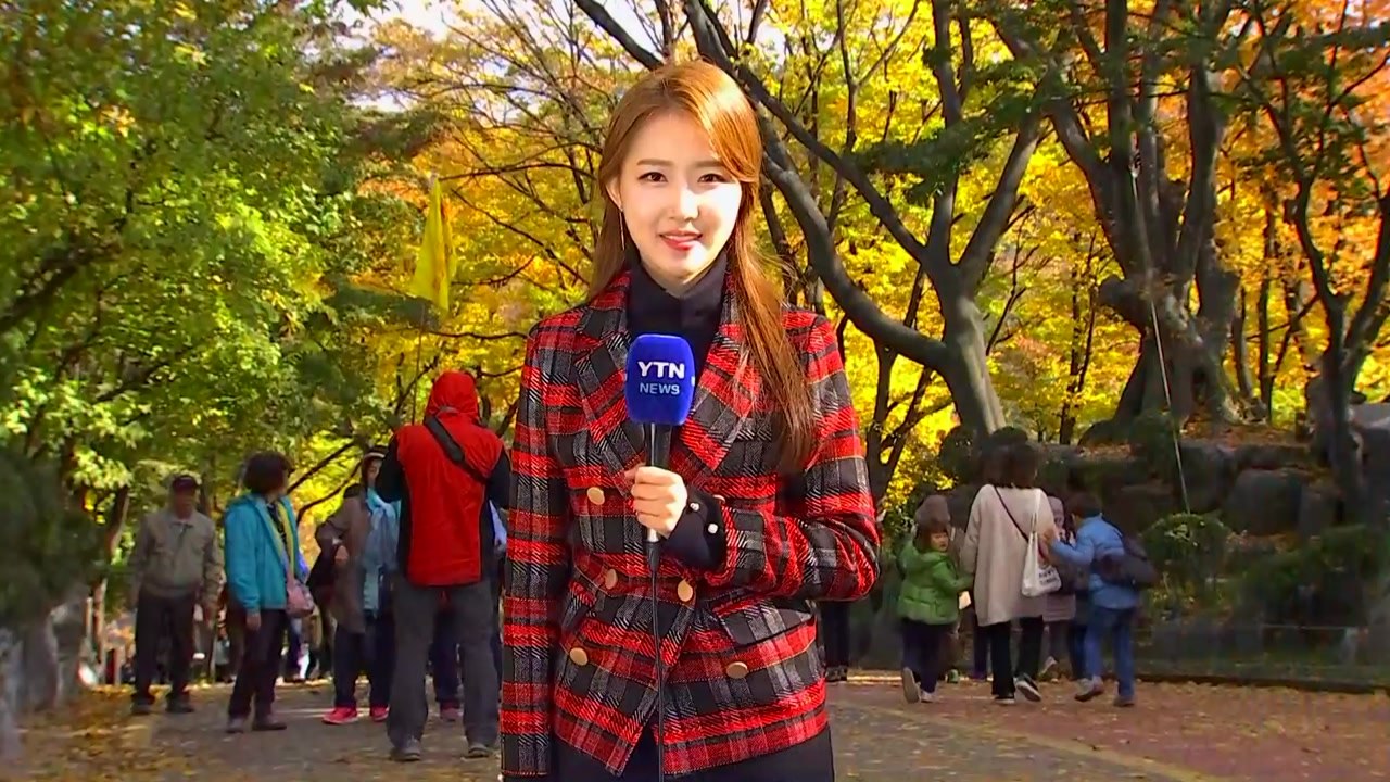 [날씨] 주말 쌀쌀, 단풍 절정...내일 전국 곳곳 비 / YTN