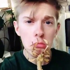 Some of the BIGGEST bugs you'll ever see