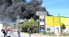 Son Dakika! Sakarya'da Kereste Fabrikasında Yangın Çıktı!  Ekipler Müdahale Ediyor