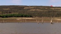 Sazlıdere Baraj Gölünde kuşların dansı kamerada