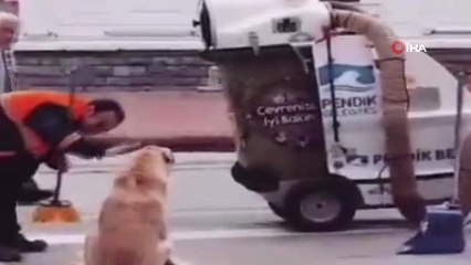 Süpürgesiyle Sokak Köpeğine Hem Masaj Yaptı, Hem Temizledi