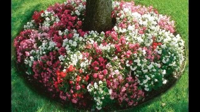 Home Design Ideas - Beautiful Backyard Landscaping