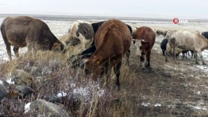 Kars’ta kar ve tipiye yakalanan çobanlar zor anlar yaşadı