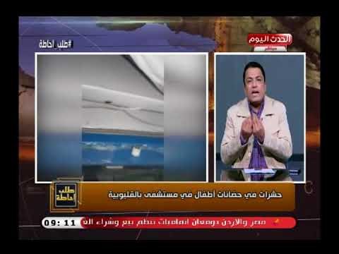 نصر عبده يفجر كارثة عن وجود حشرات فى حضانات أطفال بمستشفى القليوبية