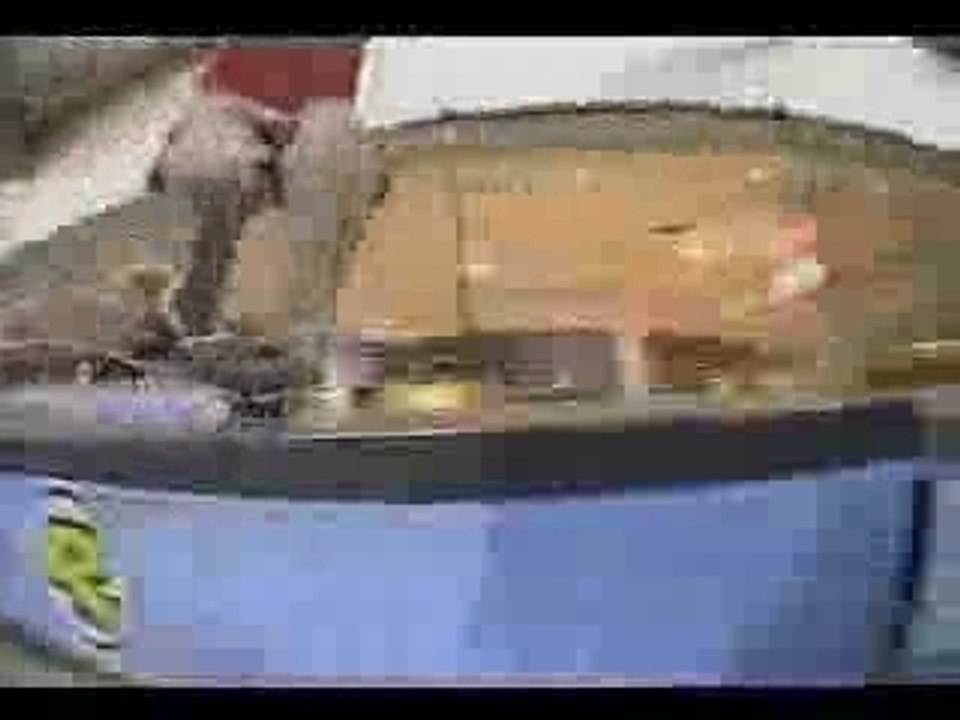 rodney mullen vs tony hawk