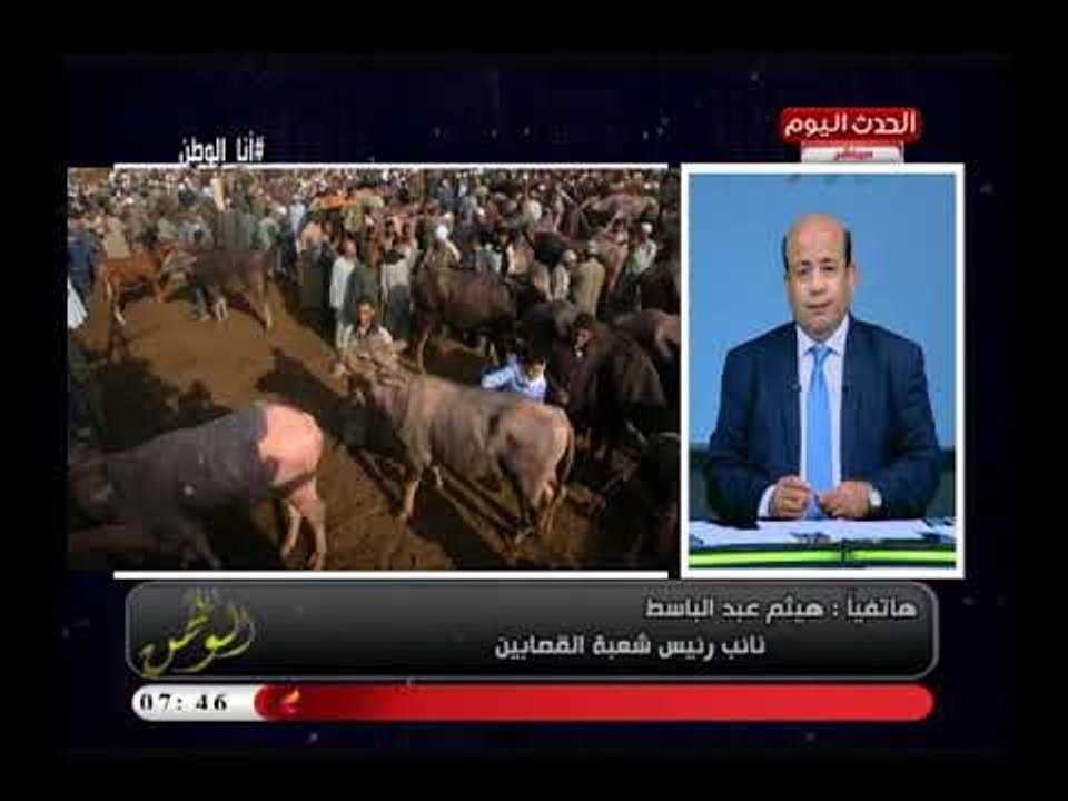 نائب رئيس شعبة القصابين يكشف أسباب انخفاض أسعار اللحوم وتضارب أسعارها في المحافظات