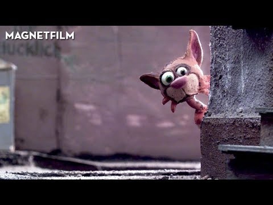 Tomcat | A Short Film by Tine Kluth