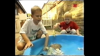 Aprendiendo las diferencias sexuales