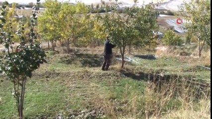 Vanlı Çiftçi Bahçesine Geçişi Kolaylaştırmak İçin Teleferik Kurdu