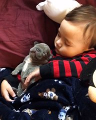 Little Boy Smothered In The Puppy Love | Cuteness overload 