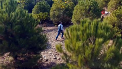 Manisa'da ağaçlandırma çalışması erozyonu yendi