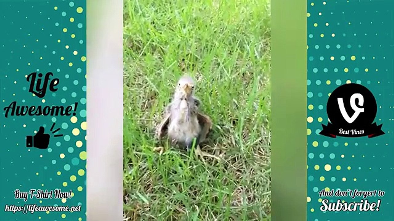funny fails kids fails compilation